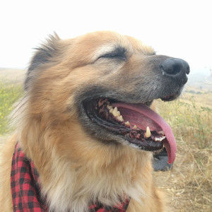 Meet your Posher, Wyatt